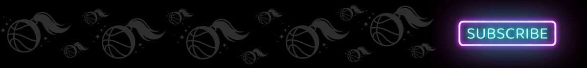 SheHoop banner