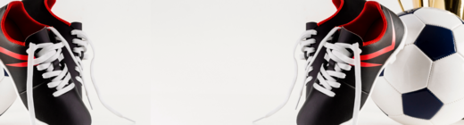 user role1 banner