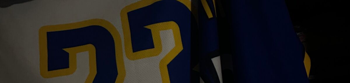 Shaneika banner