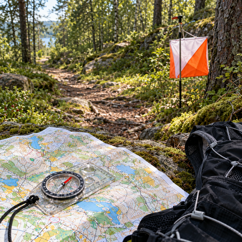 Orienteering