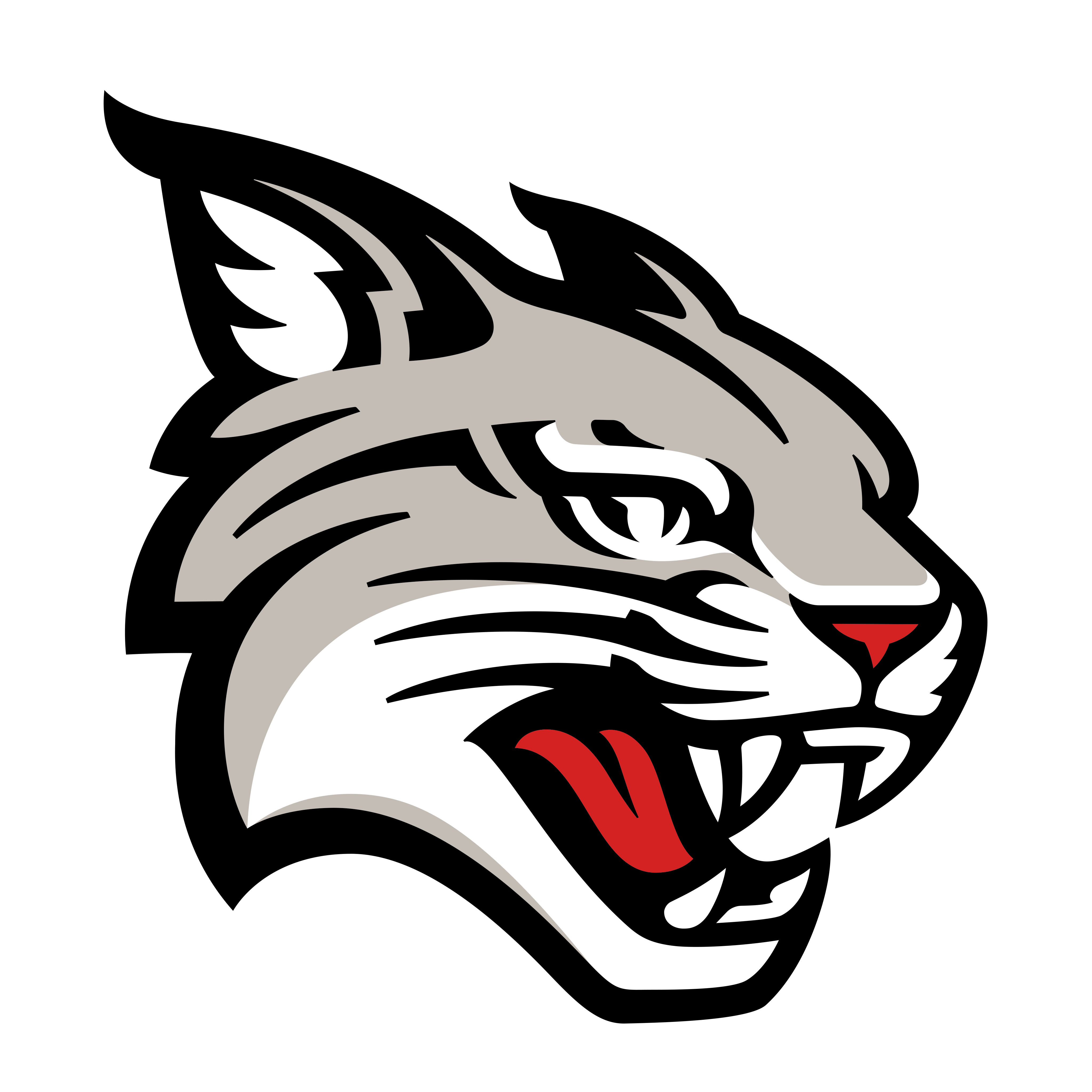 Davidson Wildcats Men's Basketball