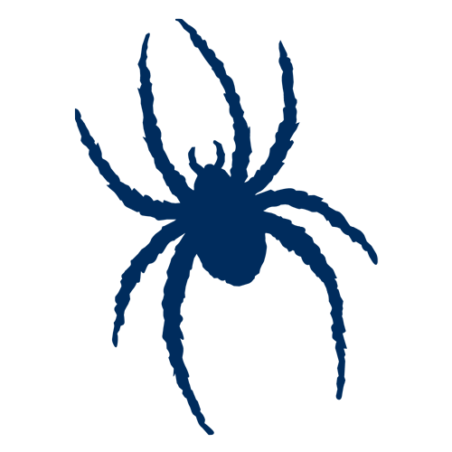 Richmond Spiders Men's Basketball