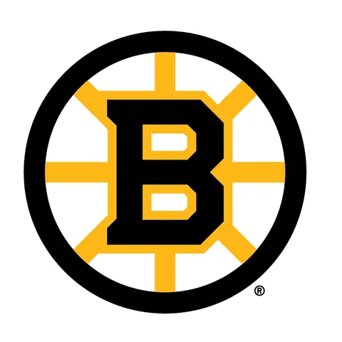 Boston Bruins