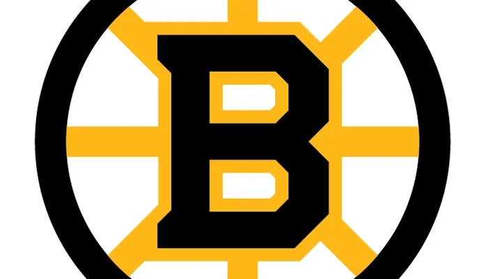 Boston Bruins