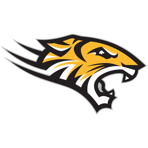 Towson Tigers Men's Basketball