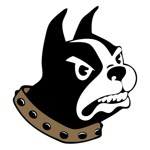 Wofford Terriers Men's Basketball