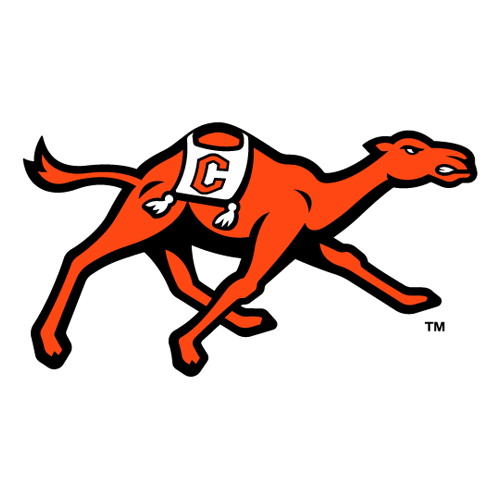 Campbell Fighting Camels Women's Basketball
