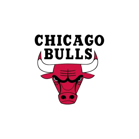 Chicago Bulls
