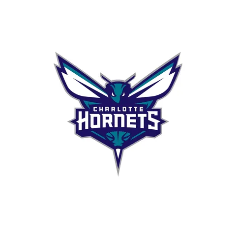 Charlotte Hornets
