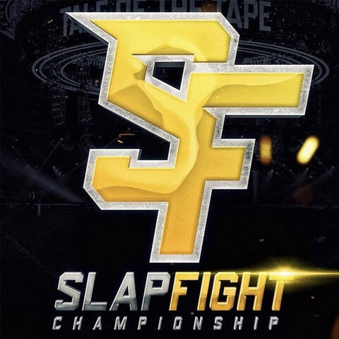SFC - Slap Fight Championship