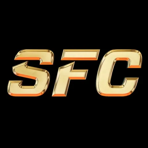 Slap Fighting Championship