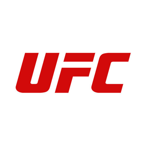 UFC (The Ultimate Fighting Championship)