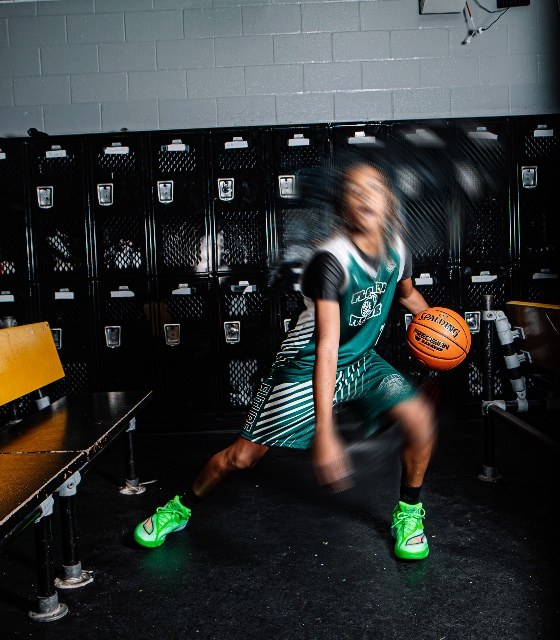 Javian pointer