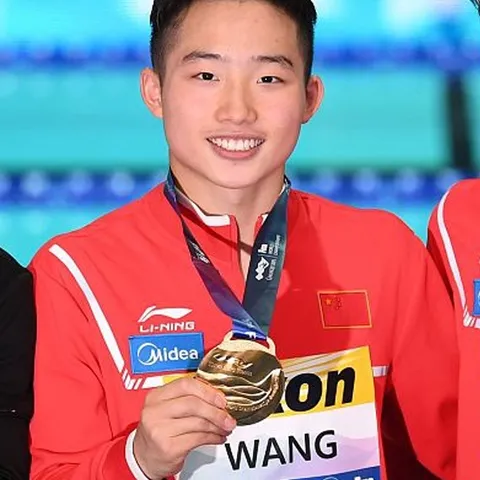 Wang Zongyuan