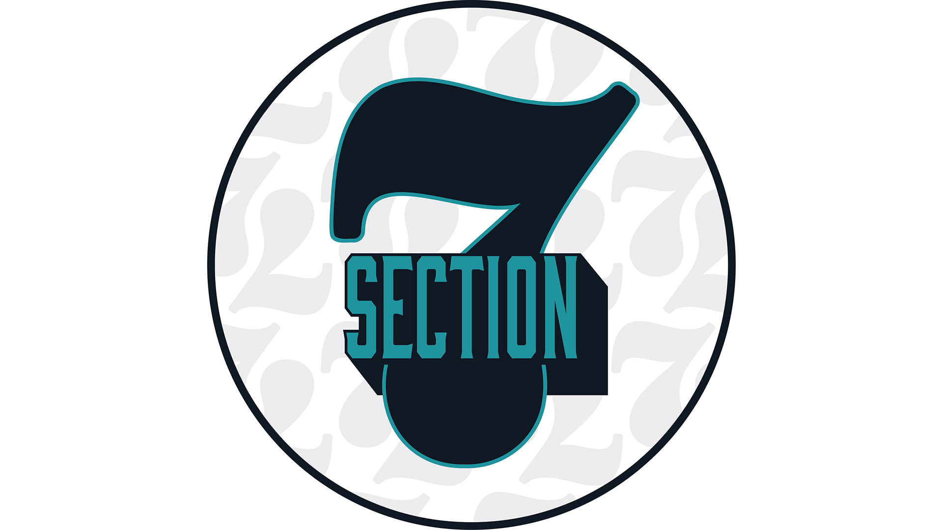 Section 7: Where Summer Basketball Reveals More Elite Players