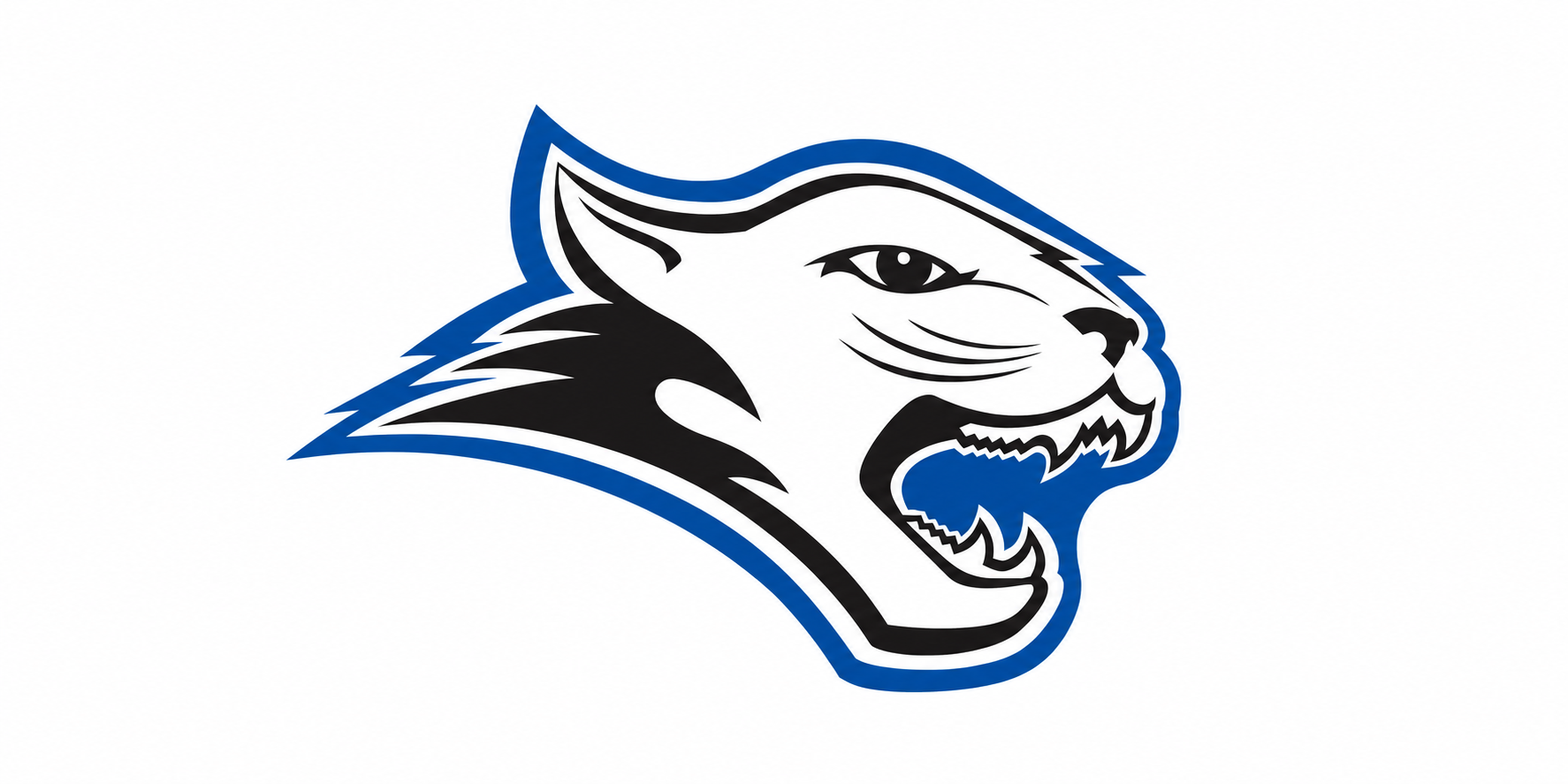 Camden County College Women’s Basketball: Building a Team, Finding Its Identity, and Chasing Growth in 2026–2027