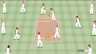 How to Play Cricket