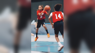 Little Lions Highlights