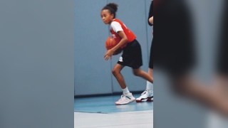 Little Lions Highlights