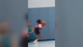 Little Lions Highlights