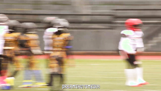 The Hill Rebels @ Homewood Bulldawgs 10U ( 2023 SPYAI Championship )