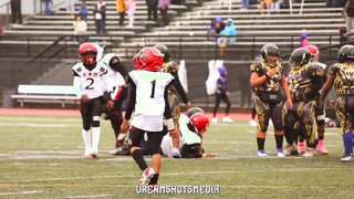 The Hill Rebels @ Homewood Bulldawgs 10U ( 2023 SPYAI Championship )