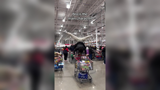 Man uses a shopping cart for gymnastics!