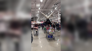 Man uses a shopping cart for gymnastics!