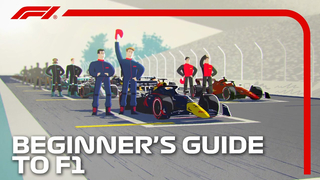 Beginner's Guide to F1