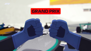 Beginner's Guide to F1