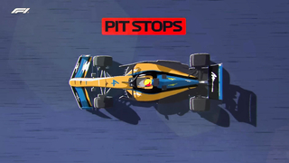 Beginner's Guide to F1