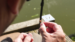 Learn To Fish – A Beginners Guide To Start Fishing – Coarse Fishing Quickbite