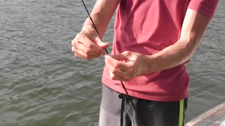 How To Start Fishing Any Lake for Beginners- Tips and Techniques