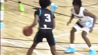 6 Minutes of Rob Dillingham destroying defenders