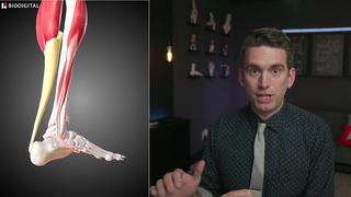 LaMelo Ball Is Carried Off the Court After Strange Injury - Doctor Explains