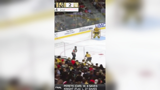 NHL Showdown: Hayden Hodgson's Hit Sparks wild Melee with Mark Stone and Vegas Knights