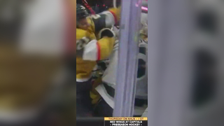 NHL Showdown: Hayden Hodgson's Hit Sparks wild Melee with Mark Stone and Vegas Knights