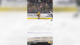 NHL Showdown: Hayden Hodgson's Hit Sparks wild Melee with Mark Stone and Vegas Knights