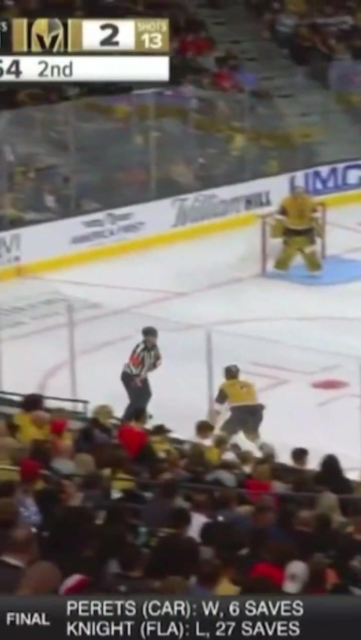 NHL Showdown: Hayden Hodgson's Hit Sparks wild Melee with Mark Stone and Vegas Knights