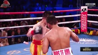 THE GREATEST KNOCKOUTS OF ALL TIME IN BOXING HISTORY