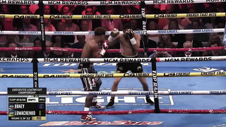 Vasiliy Lomachenko vs Devin Haney - highlights HD, Ukraine vs USA