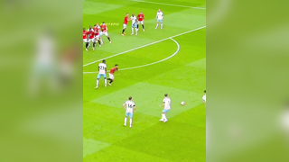 Unexpected Wild Moments on the Pitch