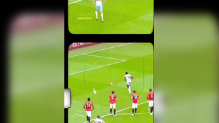 Unexpected Wild Moments on the Pitch