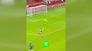 Unexpected Wild Moments on the Pitch