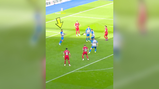Unexpected Wild Moments on the Pitch
