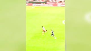 Unexpected Wild Moments on the Pitch