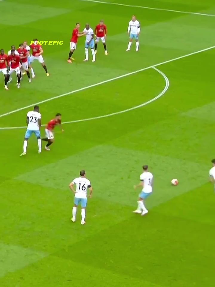 Unexpected Wild Moments on the Pitch