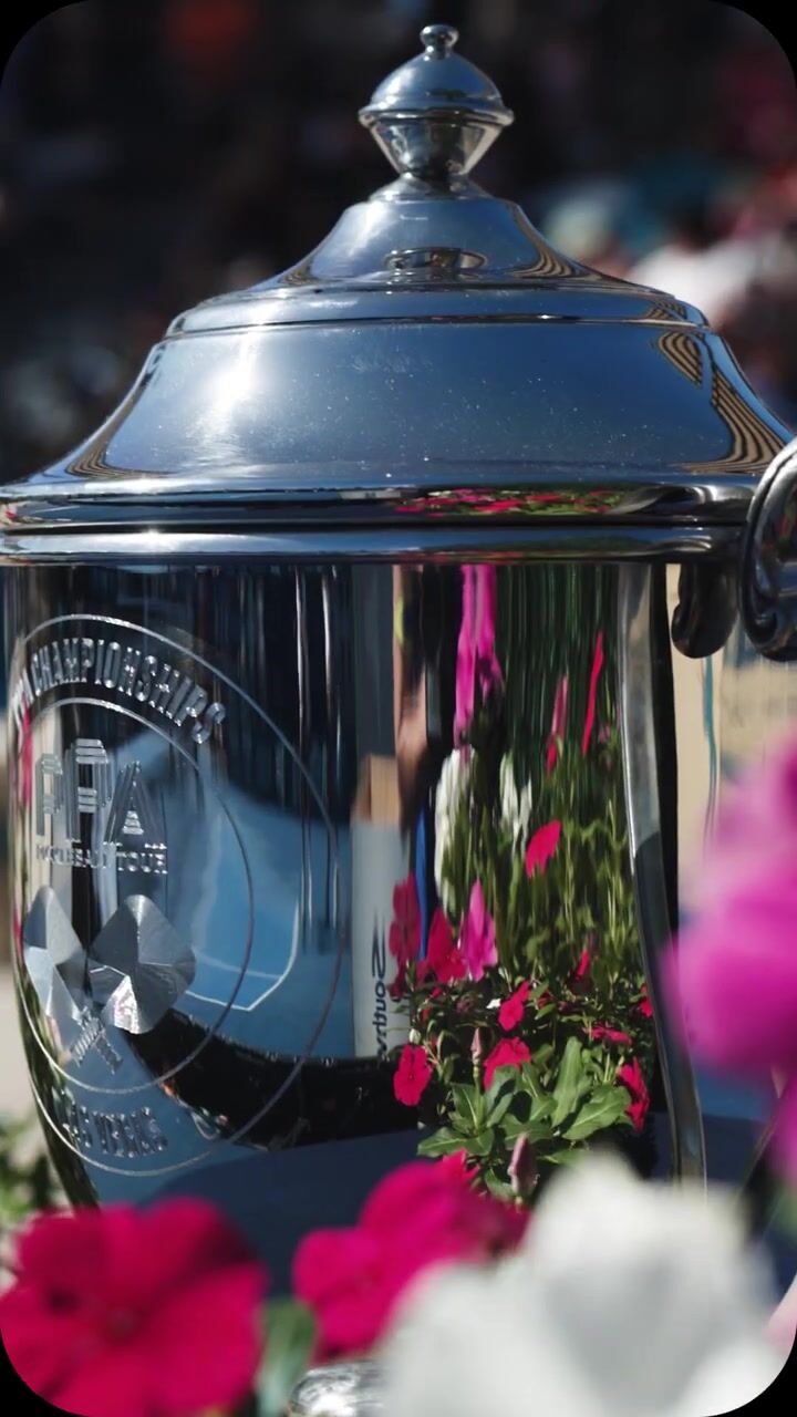 Unleashing The Hustle: PPA Pickleball Tour's Thrilling Pursuit of Excellence