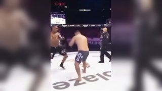 Mixed Martial Arts Super knockouts