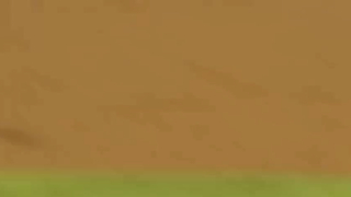 Savannah Bananas Opening Night Highlights